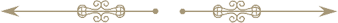 design border